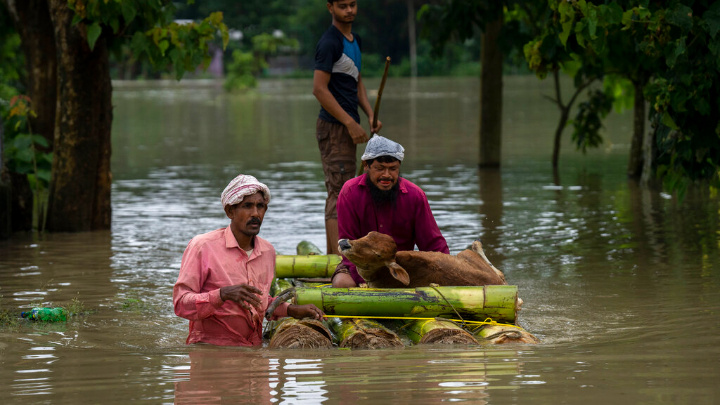 3 million homeless, 40,000 houses destroyed in Sylhet