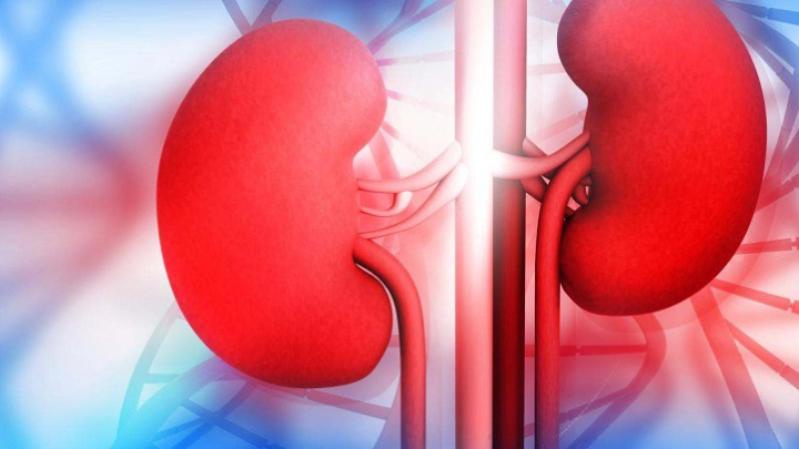 Doctors share tips to detect symptoms of kidney cancer early