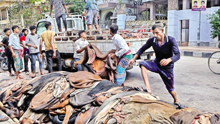 Tanneries collect 550,000 rawhide in 2 days