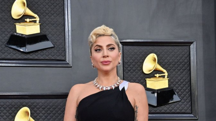 Lady Gaga's dog walker's suspected shooter freed due to ‘clerical error’