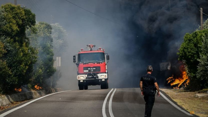 Wildfires burn coastal homes, forests in Greece as Europe's heatwave spreads east