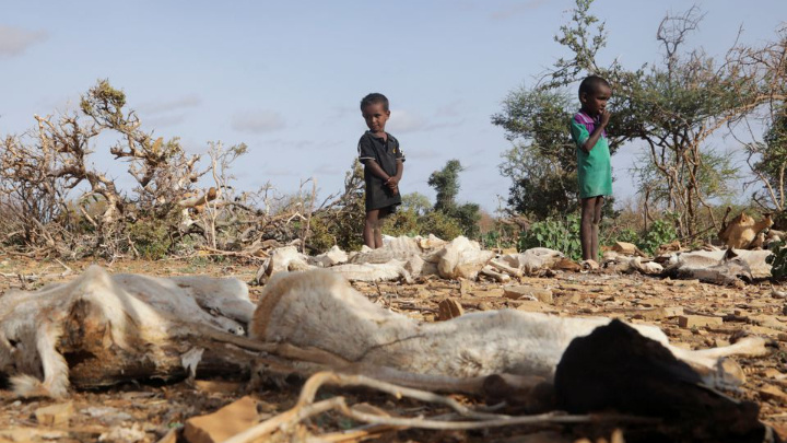 Internally displaced Somali children Ali Abdulahi and Osman Abdulahi stand near the carcass of their dead livestock following severe droughts near Dollow, Gedo Region, Somalia May 26, 2022. REUTERS/Feisal Omar