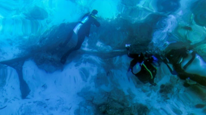 Volunteer divers guard Oman's 'unique' coral reefs