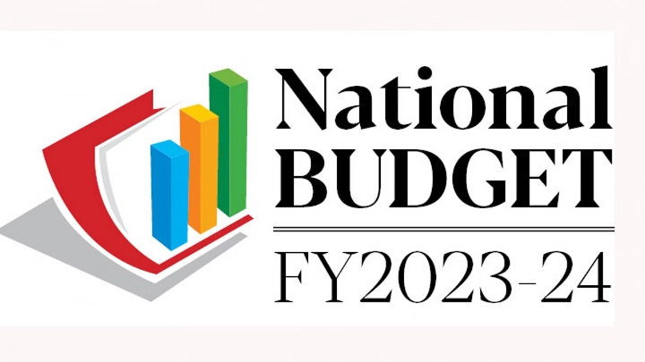 Mannan: Our Next Budget Is Not Designed to Please the IMF