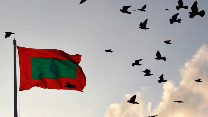 A Maldives national flag flutters as pigeons fly past during the morning in Male February 8, 2012. REUTERS/Dinuka Liyanawatte/Files