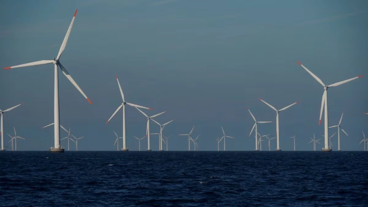  A view of the turbines at an offshore wind farm near Nysted, Denmark, September 4, 2023. REUTERS/Tom Little/File Photo