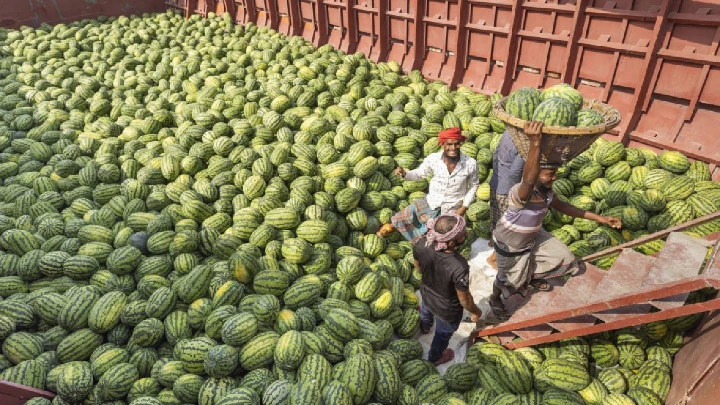 Early cultivation, warm winter boost watermelon supply this Ramadan